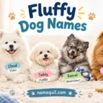 fluffy dog names